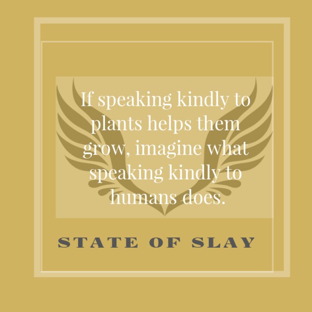 State Of Slay Kindly