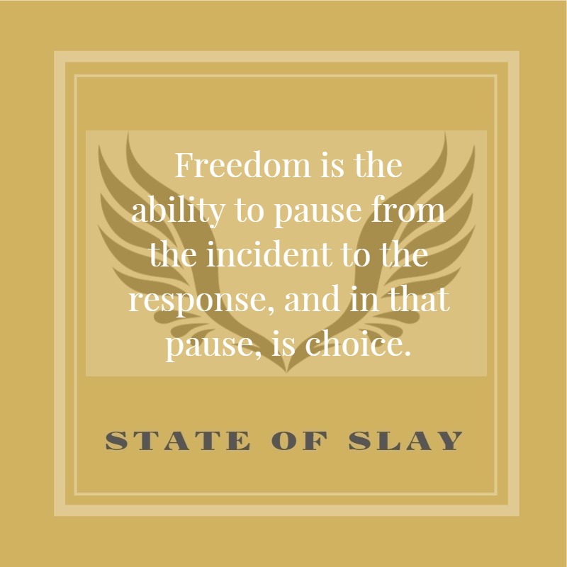 State Of Slay Freedom To Pause
